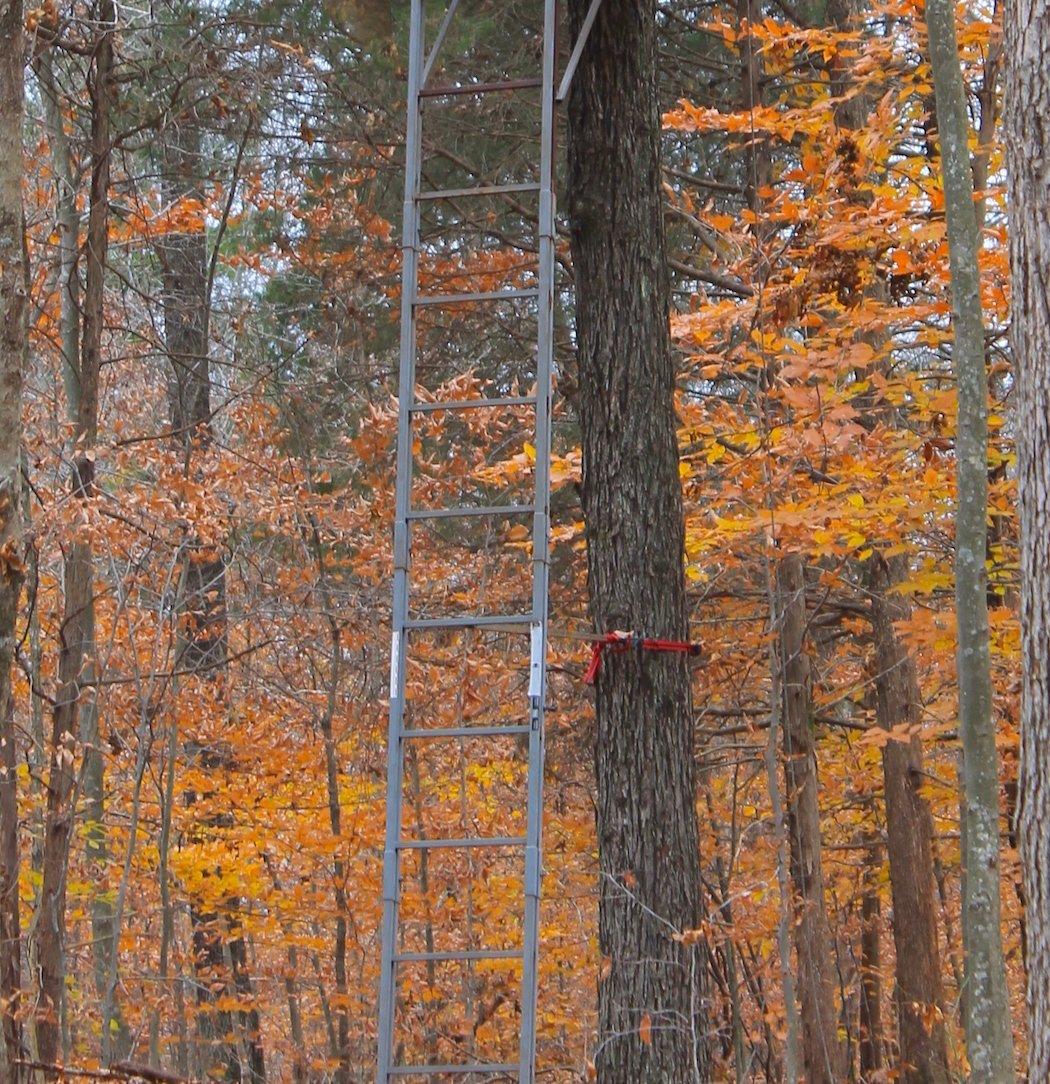 Treestand Maintenance