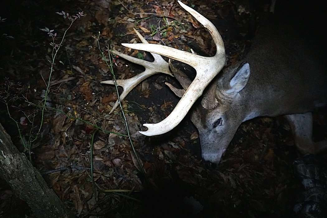 Recovering this buck was a dream come true for Georgia native Phillip Culpepper. (Drake Lamb photo)