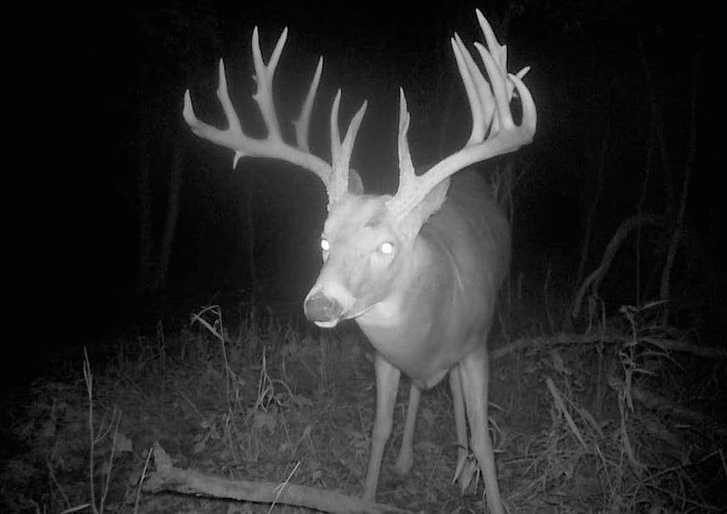 While Cam Bottum didn't know the giant buck was in the area, a couple of friends came forth after the kill with trail cam photos, some captured as far as 2 miles away from the kill site. (Photo courtesy of Derek Cardinal)