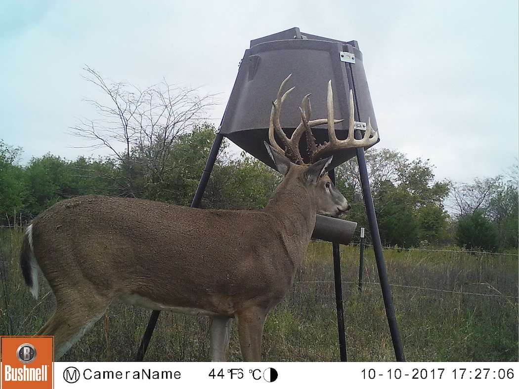 This impressive buck started frequenting one of Scott Burton's trail-camera locations in mid-October last fall. Burton tagged the buck on October 16. (Photo courtesy of Scott Burton) 