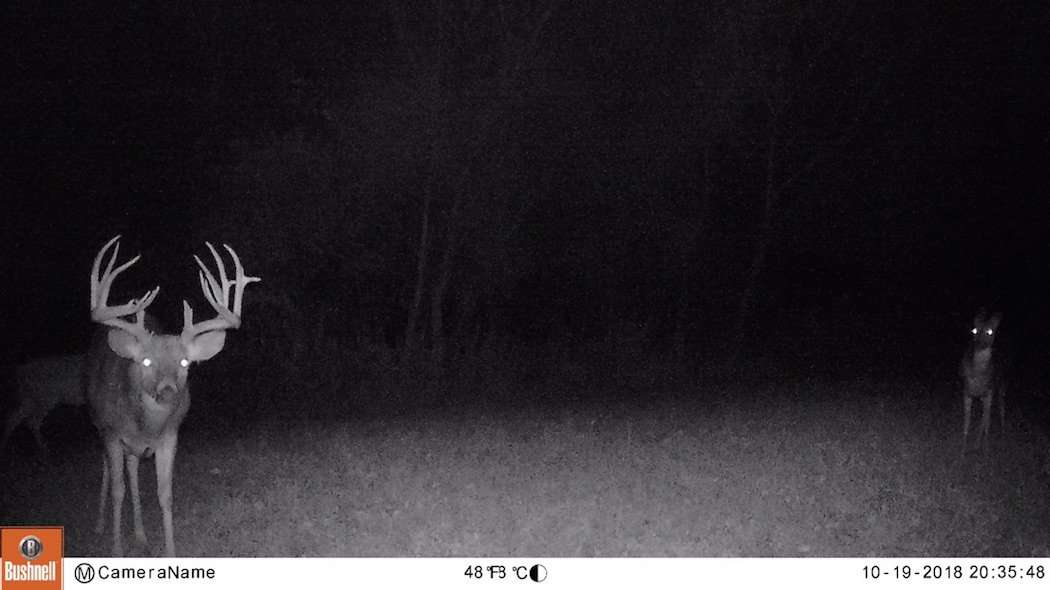 An October 19 trail cam photo shows the buck checking a scrape in the dark. Several days later, the buck was caught checking the scrape again during daylight. Eiring arrowed the buck a week later. (Photo courtesy of Schuhter's Outpost)