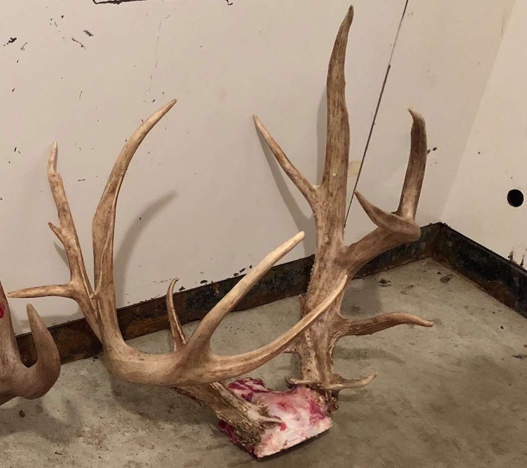 Hunting Buck Rack Muzzleloader Hunter Tags Big Non-Typical Whitetail - Realtree Camo