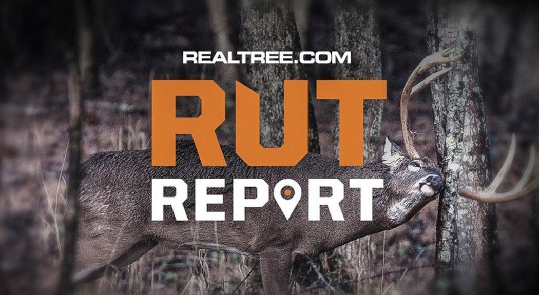 Realtree Rut Report