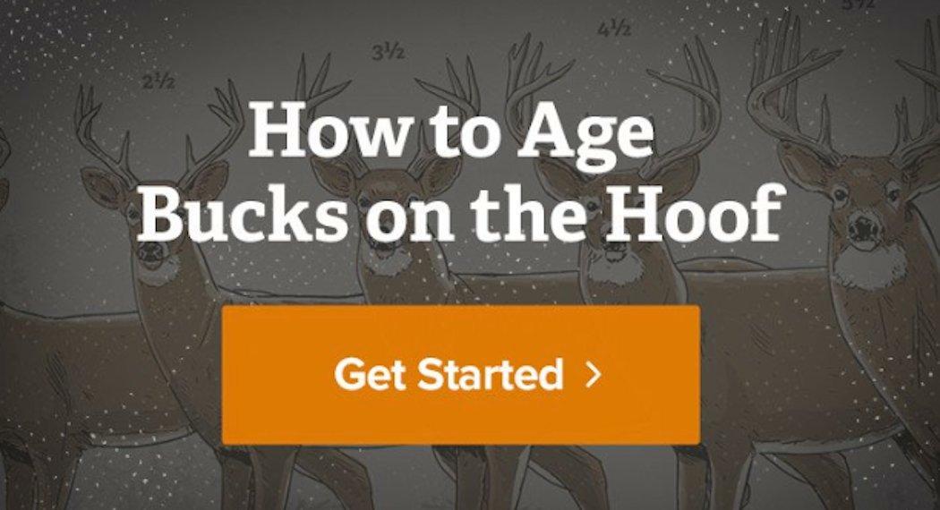 Realtree's On-the-Hoof Aging Guide