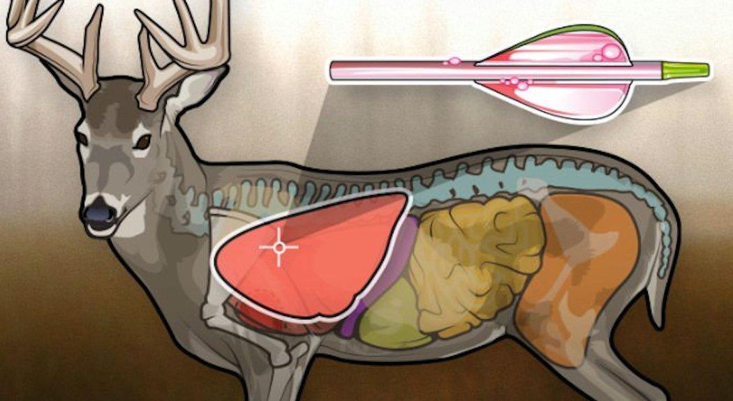 Realtree Shot Placement Guide