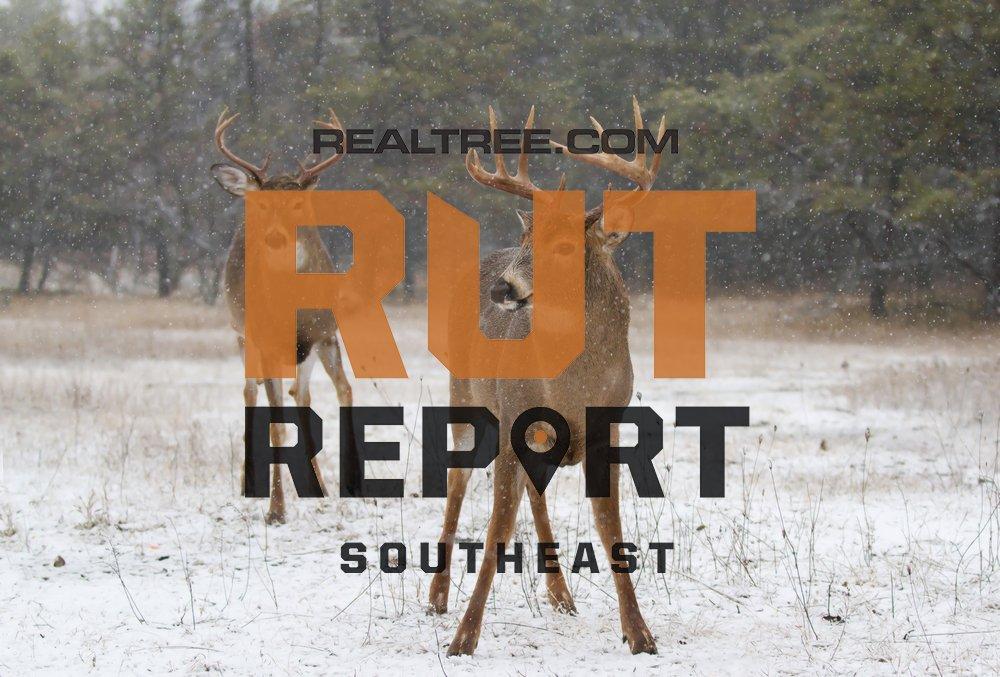 Southeast Rut Report The Rut Is Building in Alabama, Mississippi and