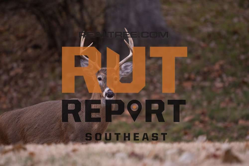 Southeast Rut Report: Select Areas in Alabama, Florida, Mississippi and ...