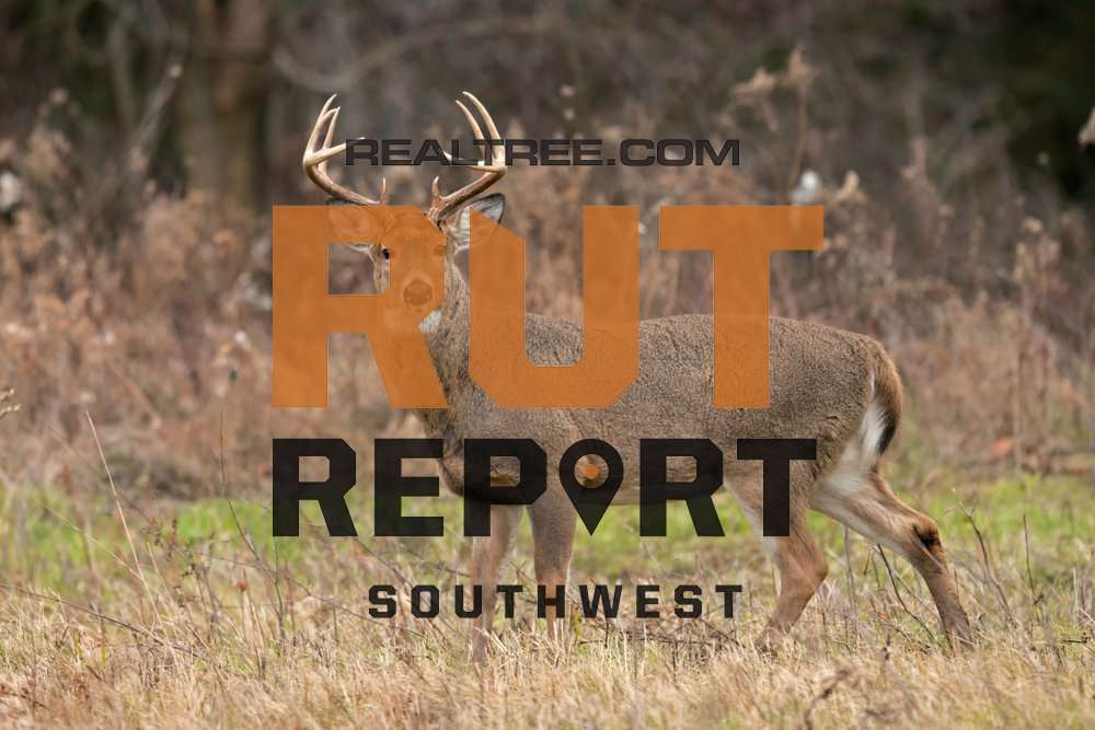 Southwest Rut Report: The Rut Is Winding Down - realtree-deer-hunting-rut-report-sw-01-30-shutterstock_dean_bouton