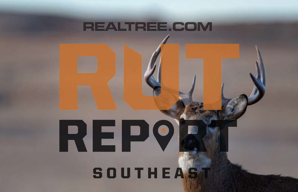 Southeast Rut Report: The Rut Is Starting to Peak in Three Southern ...