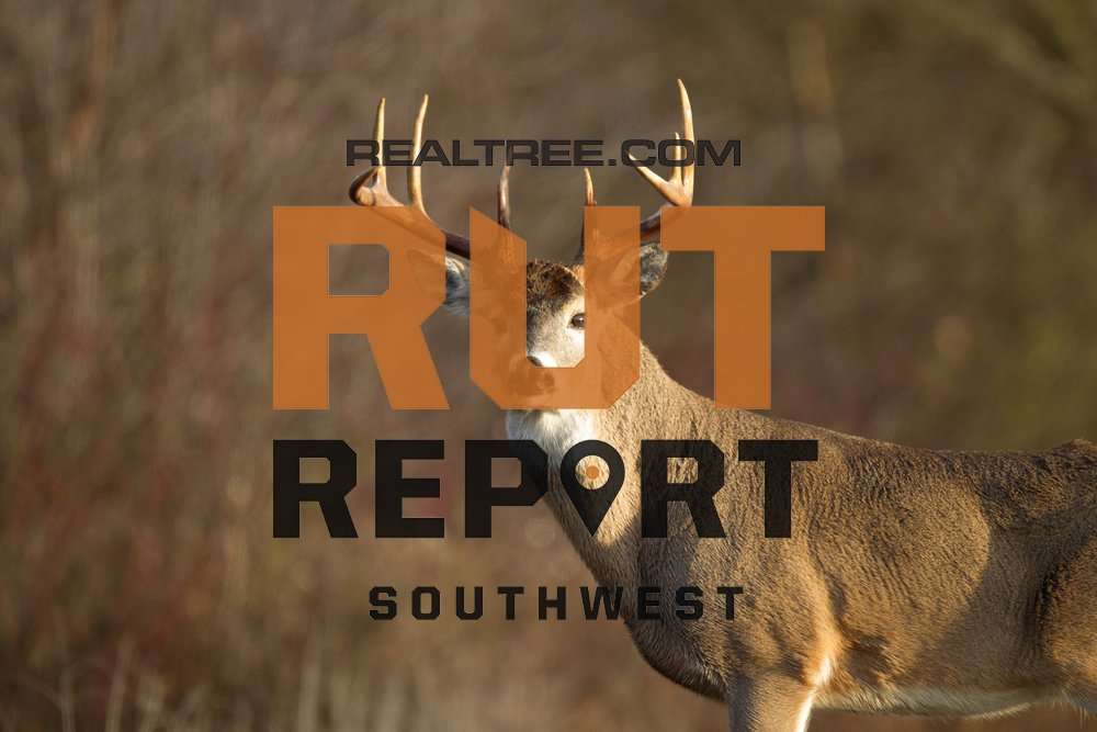 Southwest Rut Report: Deer Season and the Rut Are Now Over - realtree-deer-hunting-sw-rr-01-31-19-shutterstock_steve_jamsa