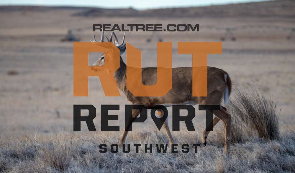 Southwest Rut Report: Solid Rut Action in the Far Southwest - realtree-deer-hunting-sw-shutterstock_philip_rodgers_copy