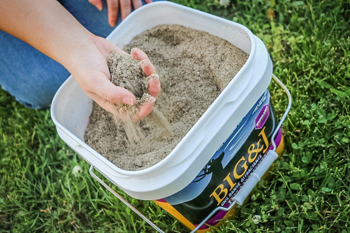 Soil, precipitation and vegetation all play roles in mineral intake and needs. Supplements help provide extra mineral when deer require more of it. (Josh Honeycutt photo)