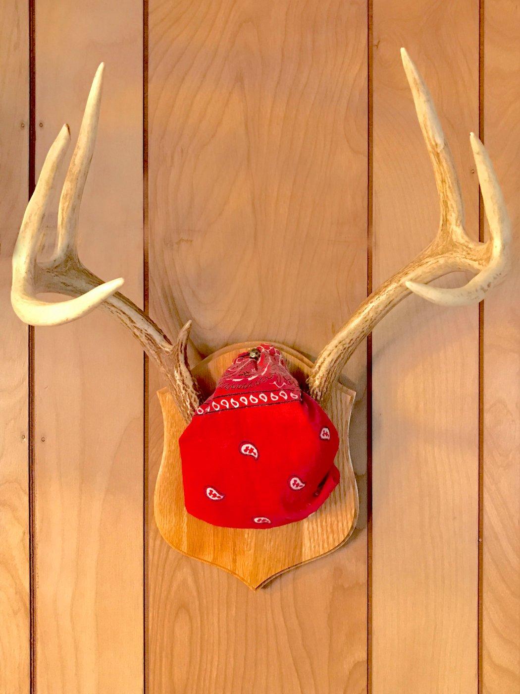 Antler Mount