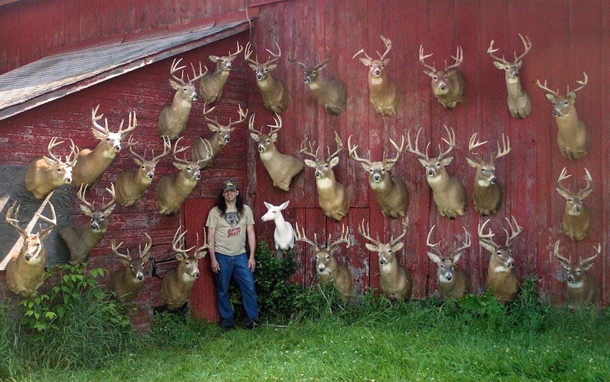 Dan Infalt poses with a wall full of DIY bucks. (Dan Infalt photo)