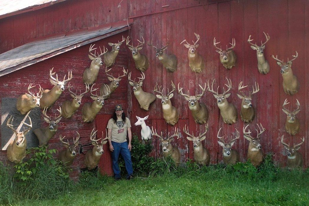 The author has taken many public-land whitetails. (Dan Infalt photo)