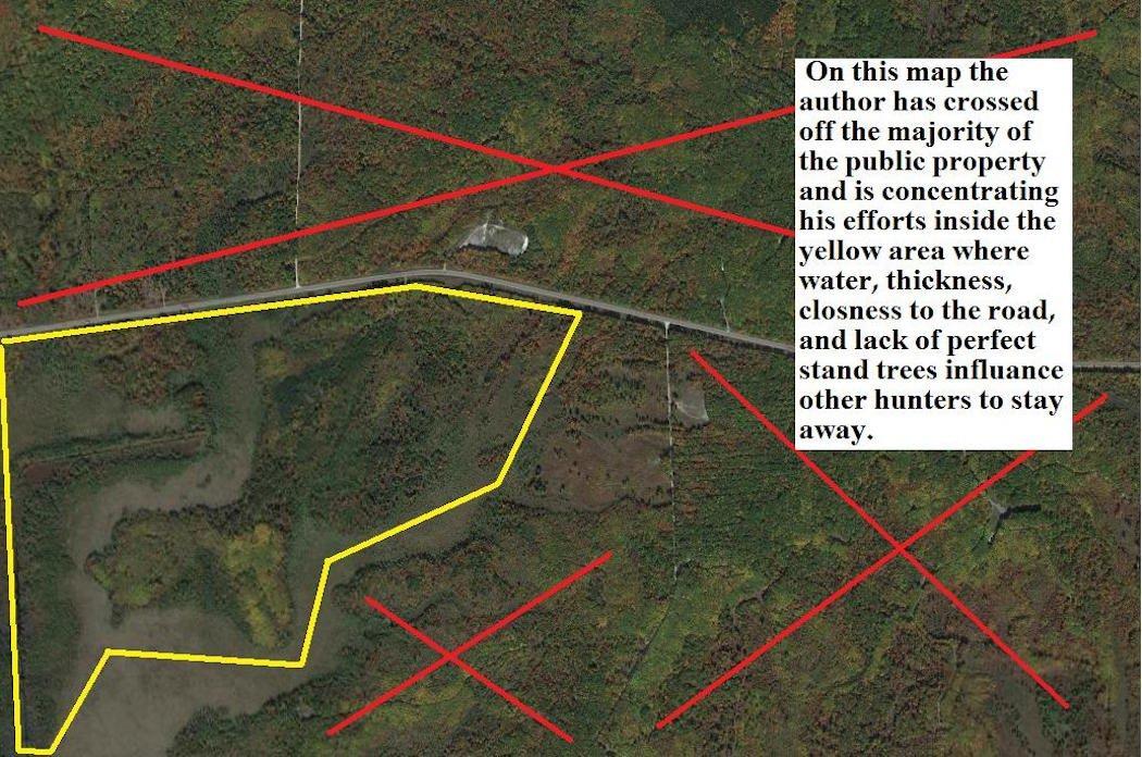 Look at an aerial map before scouting in-the-field. Cross off any areas you'd expect to be pressured by hunters. (Courtesy of Dan Infalt)