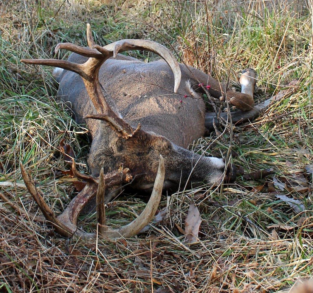 Bonus: Everything Else