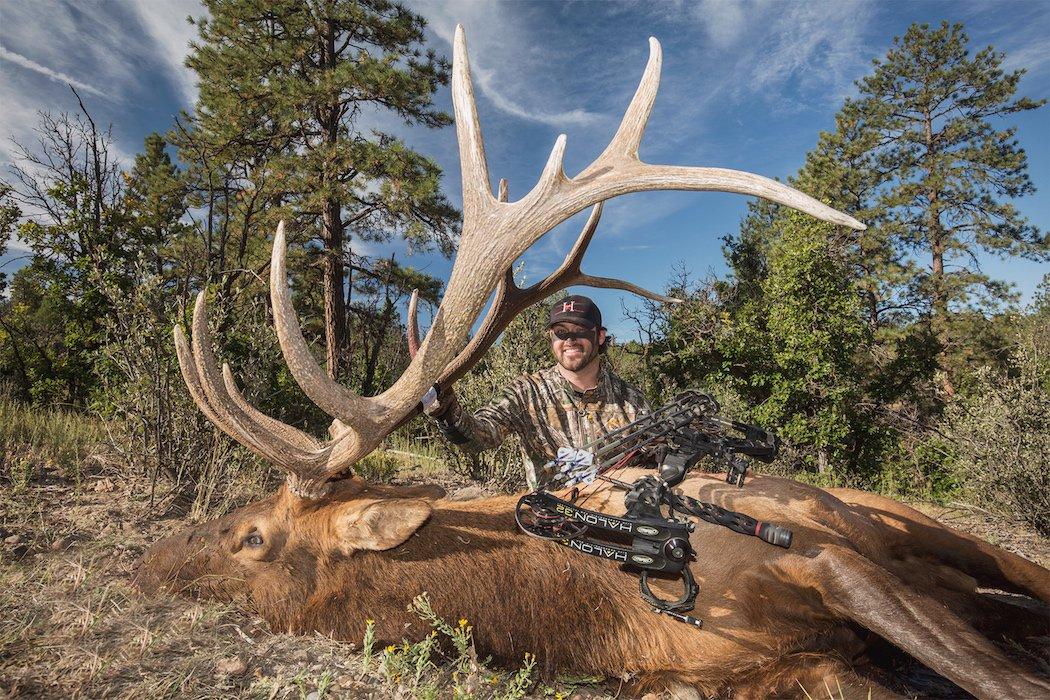 Nate Hosie's Monster Bull