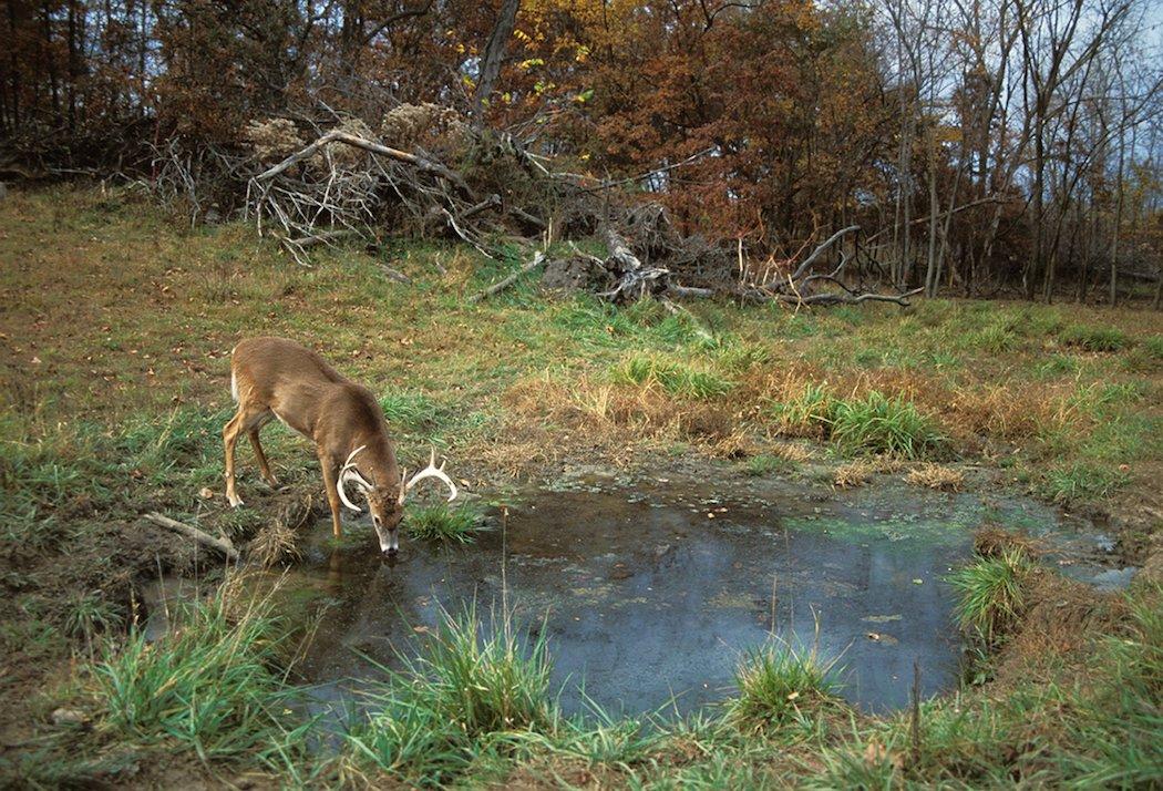 Mature bucks are completely different animals than other deer. But some aspects of hunting them remain the same.