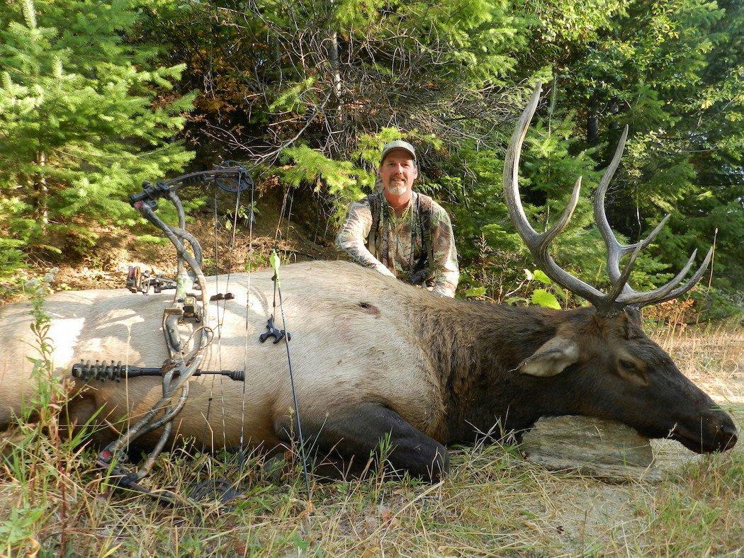 The author poses with a Blacktimber bull.