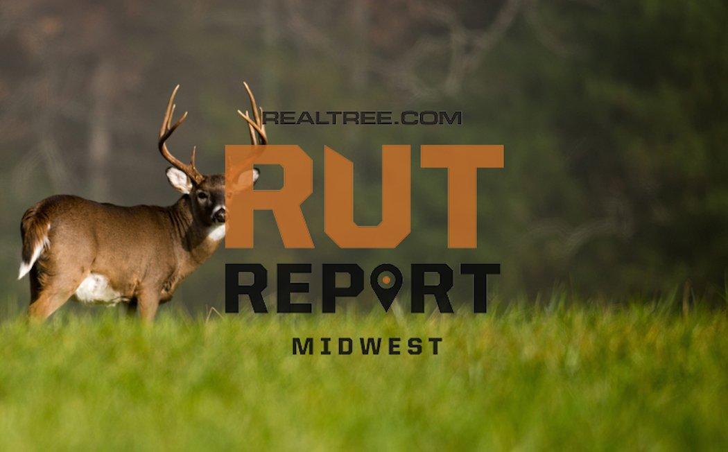 Image: realtree-midwest-rut-report-october-12-shutterstock_tony_campbell_four_copy_1