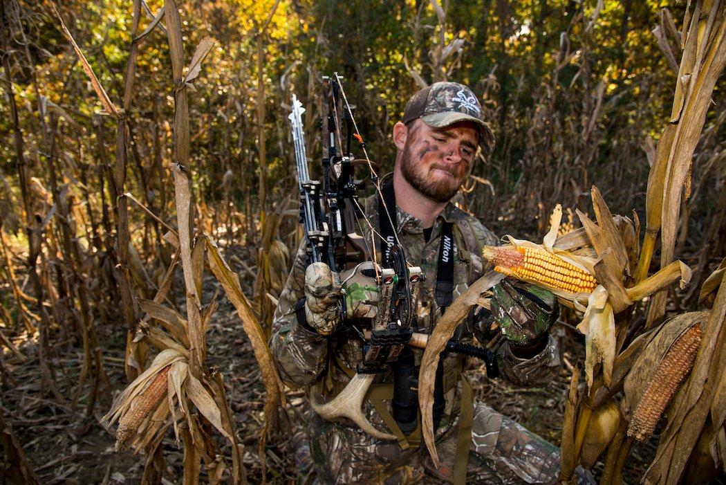 Grains are more attractive during colder spells. (Midwest Whitetail photo)