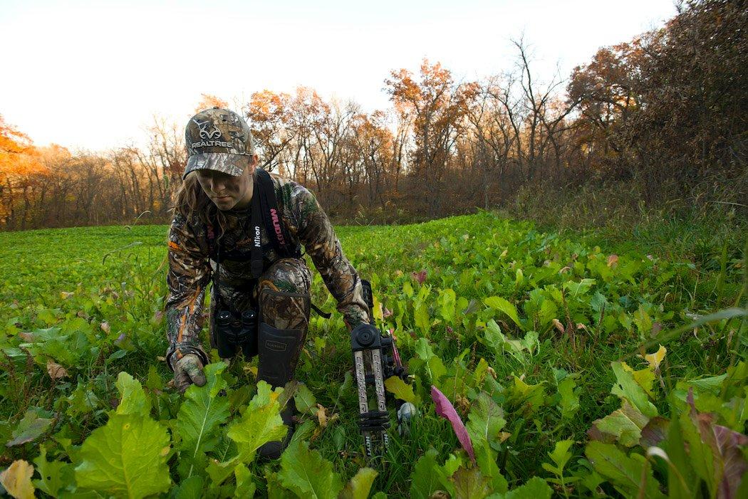 Green food sources are more attractive during warmer spells. (Midwest Whitetail photo)