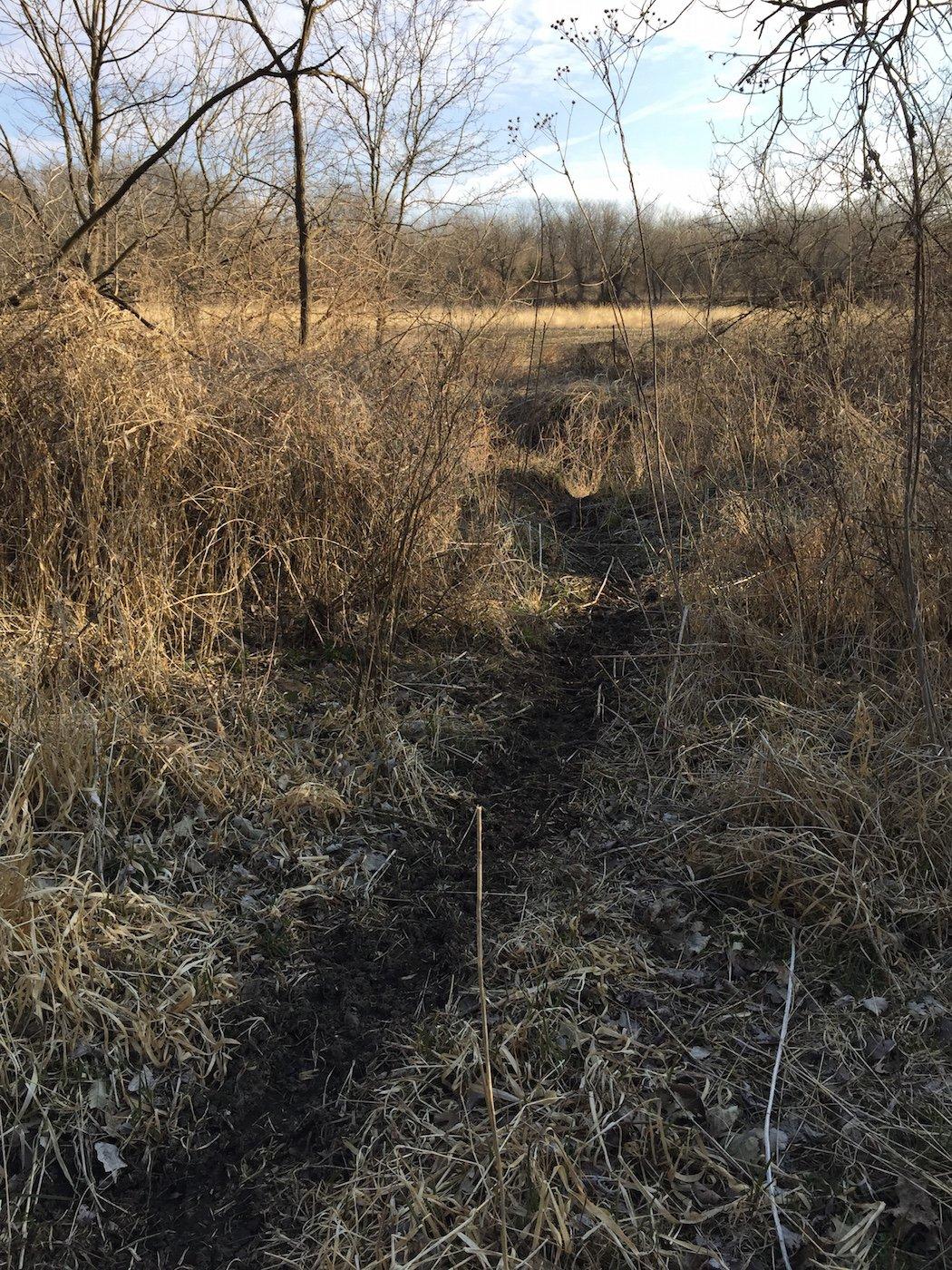 Research Habitat Programs