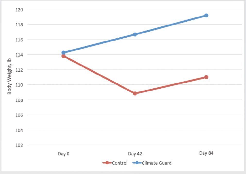 The effect of Climate Guard Supplement diet on white-tailed doe body weight during an 84-day study. (West Texas A&M University)