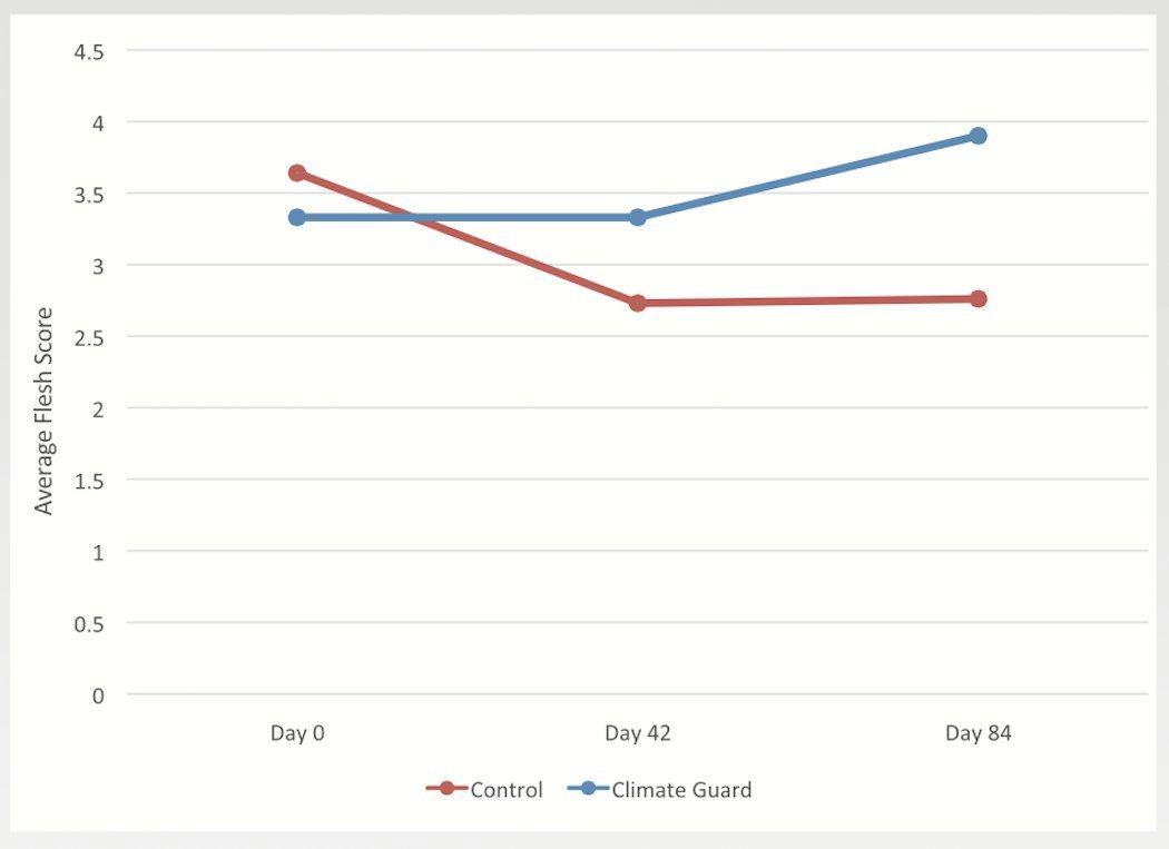 The effect of Climate Guard Supplement diet on doe rib flesh scores during an 84-day study. (West Texas A&M University)