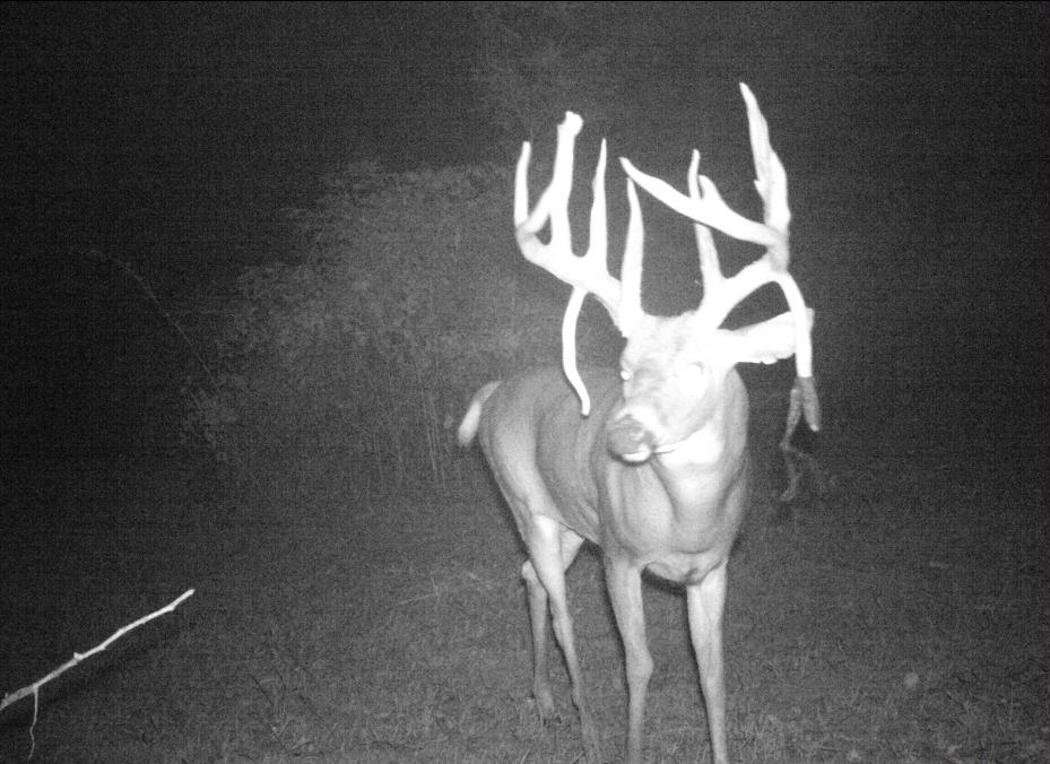 This buck showed up in October three years in a row. (Dwayne Hershberger photo)
