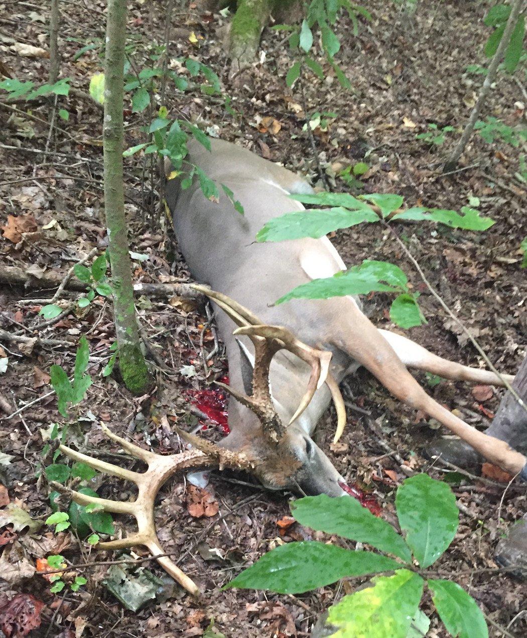 That feeling when you find the deer you arrowed. (Photo courtesy of Lance Frederick)