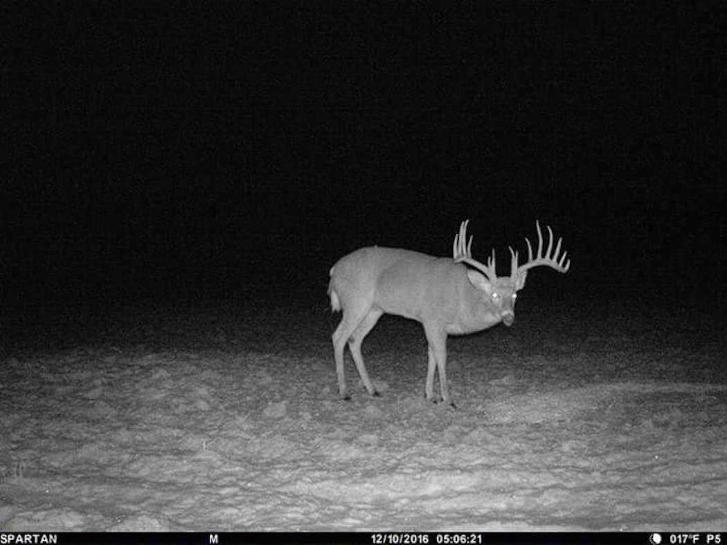 A trail camera photo of the buck reveals just how big it was. (Josh Kraus photo)