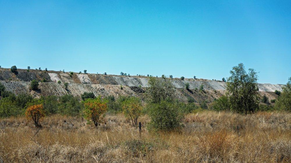 Seeing what habitat can look like after an old coal mine is reclaimed is refreshing. (Shutterstock / Jackson Stock photo)