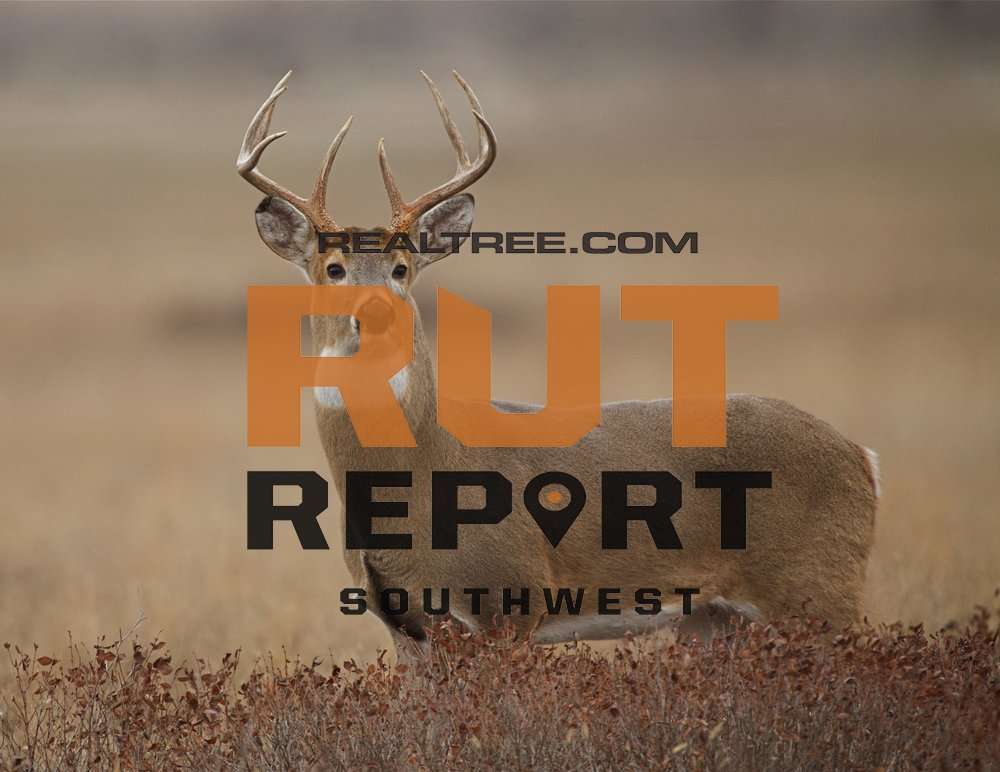 Southwest Rut Report: The Rut Is Hot in Arizona, New Mexico and South Texas - realtree-rut-report-jan-4-shutterstock_tom_reichner_copy