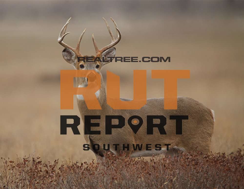 South Texas Rut Southwest Rut Report: The Rut Is Hot in Arizona, New Mexico and South ...