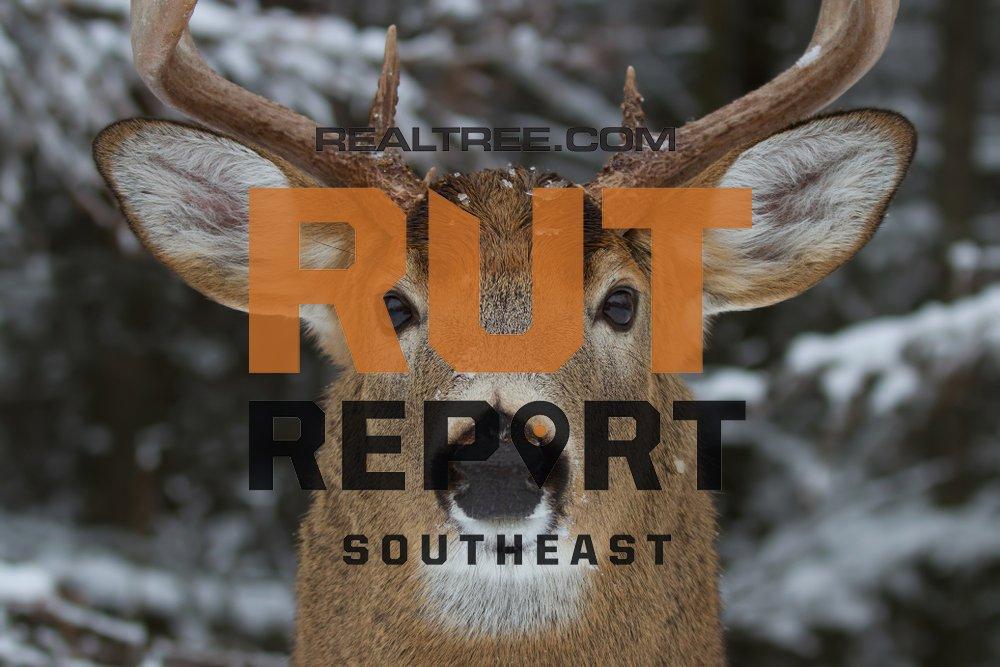 Southeast Rut Report Small Pockets of Rut Activity in Louisiana and