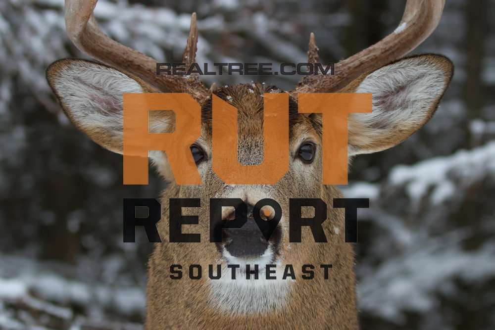 Southeast Rut Report: Small Pockets of Rut Activity in Louisiana and Mississippi and Good Action in Alabama - realtree-rut-report-se-shutterstock_jim_cumming_copy
