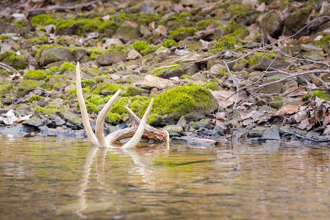 Myth: All of the Sheds Are at Creek and Ditch Crossings