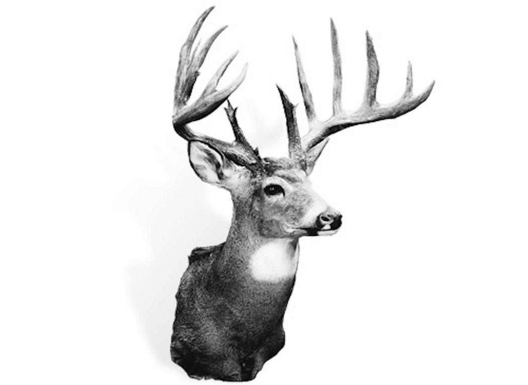 Taken in 1965, the Johnson buck truly is iconic. It's the Illinois state record typical and sits at No. 4 overall. (Boone and Crockett photo)