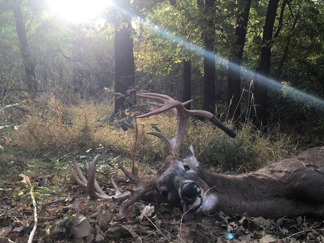 It's always a great feeling recovering your deer. (Adam Hann photo)