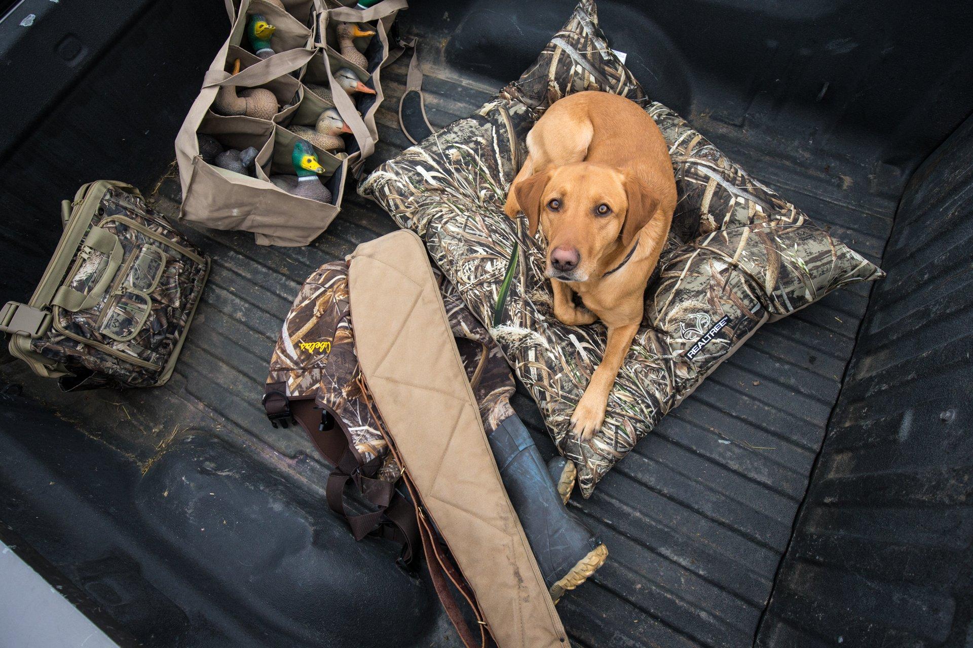 Dog beds are great during hunting breaks. (© Drew Stoecklein photo)