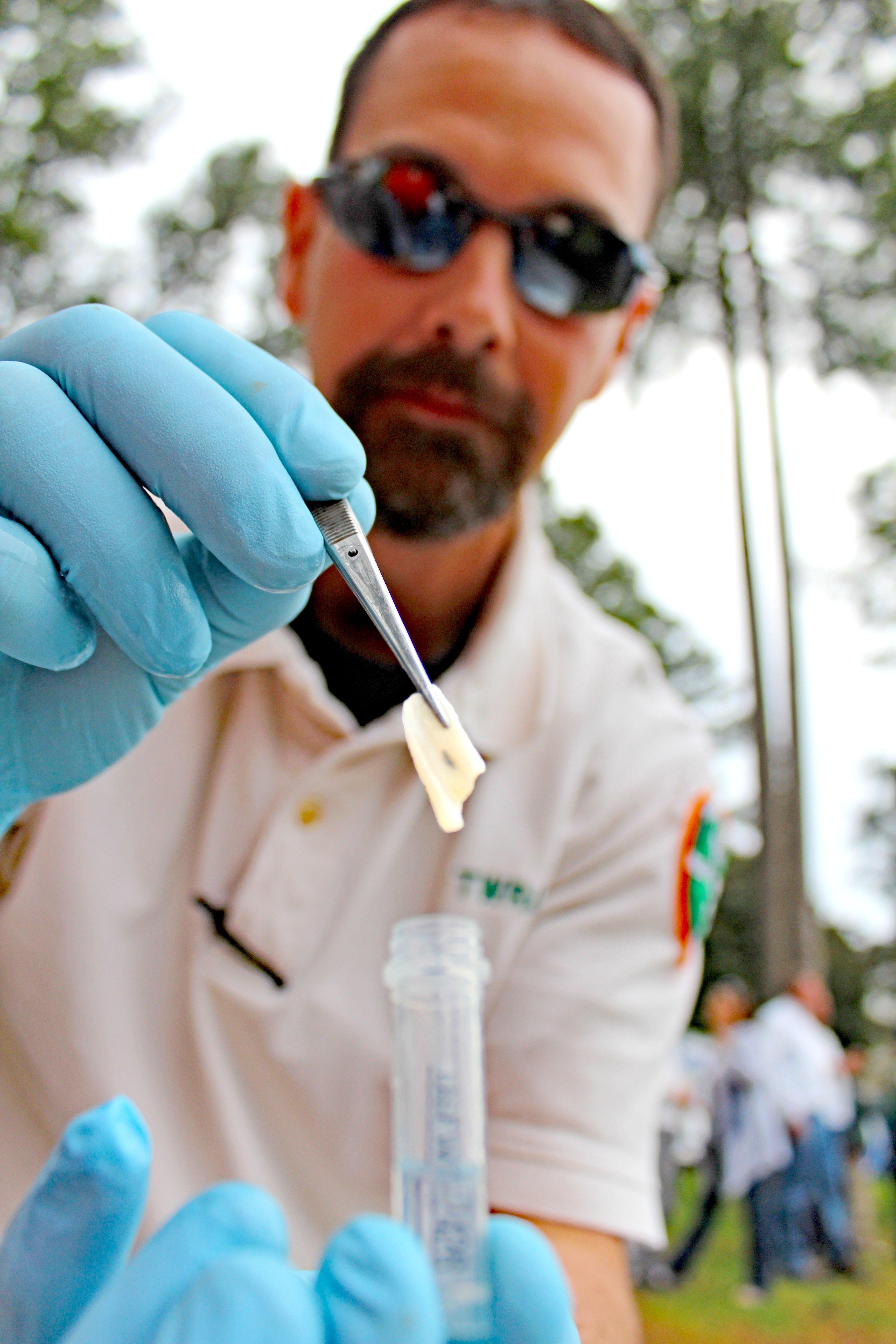 Image: realtree_tn_bass_record_4