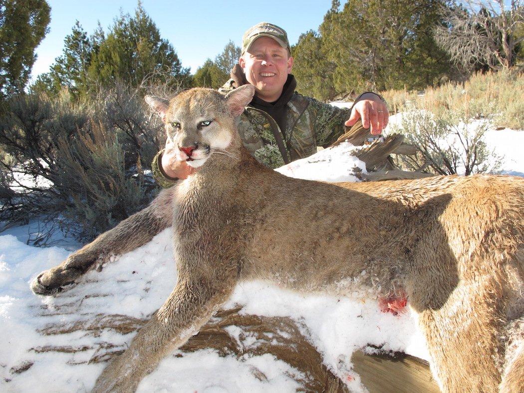 The author poses with a big mountain lion.