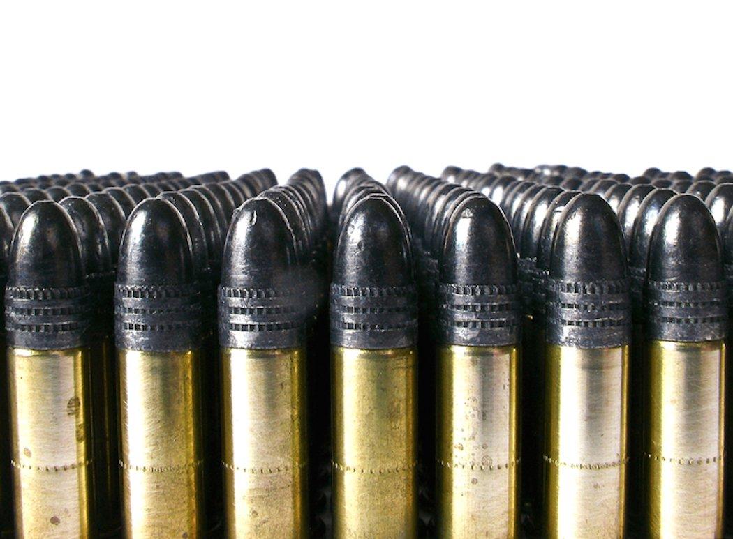 The .22 has long been one of the most popular calibers for small game hunting.