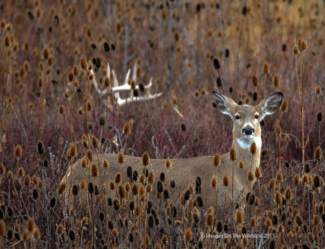 The lockdown phase can be a slow time. Know how to overcome it. (Denver Bryan photo)