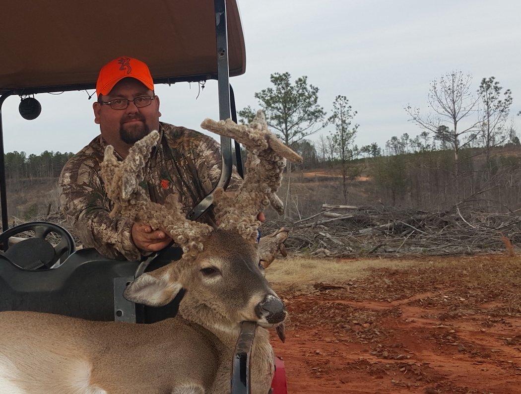 Bucks with Cryptorchidism, also referred to as cactus bucks, look a little out of the norm. (Photo courtesy of Casey Burnett)