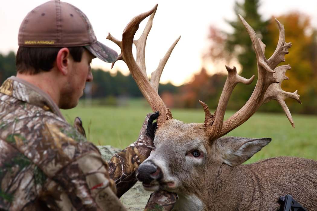 An impressive side view displays the Pendleton buck's wild character. 