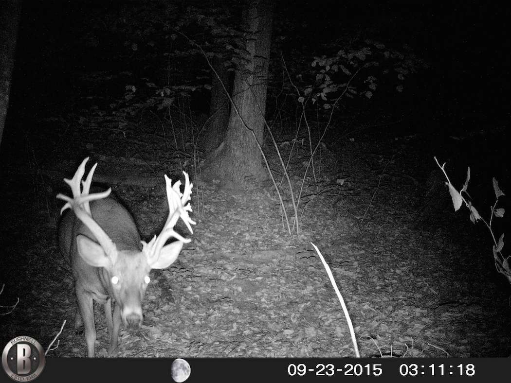 Pendleton first captured his buck on camera back in 2011. He watched it until 2015 when he killed the deer.