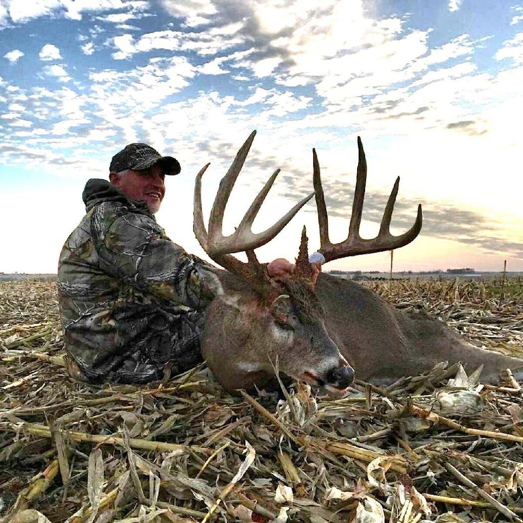 A side view of the Iowa monarch.